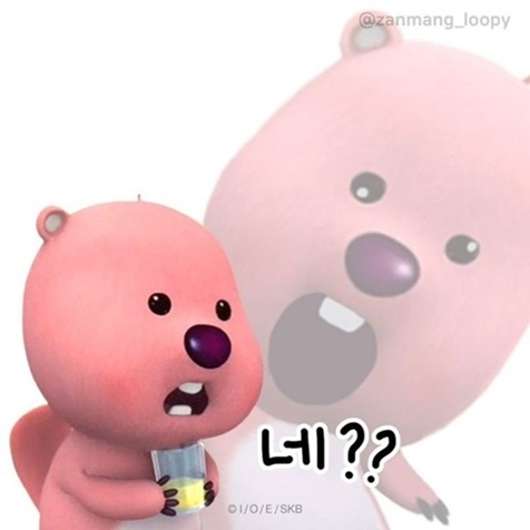 IMG_9507.png
