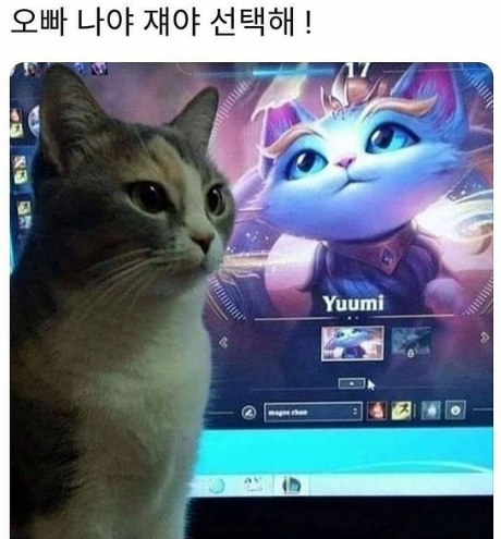 1000315184.png