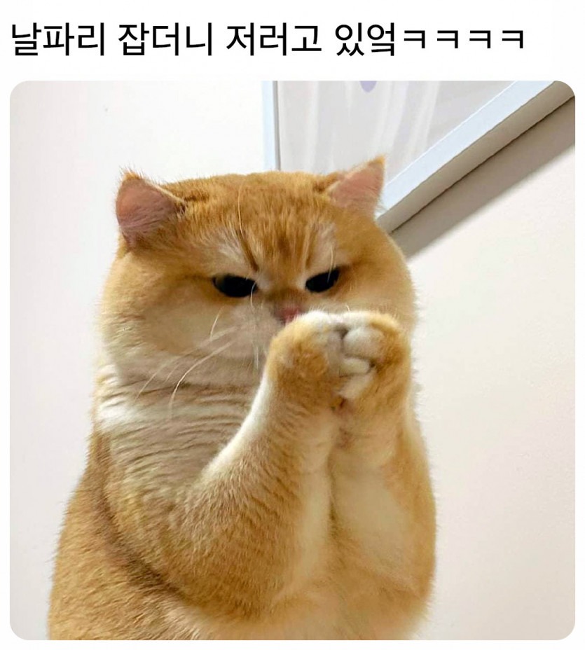 1000315188.jpg