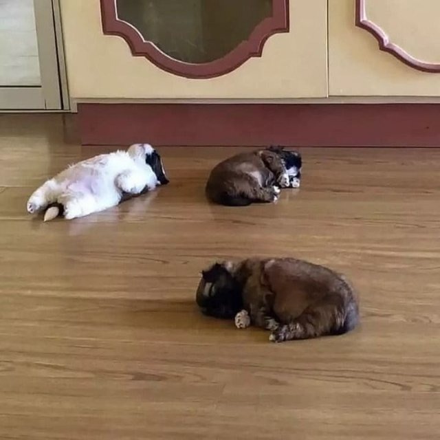 a_w59993e003_ea309e346e580f2198d650502cc0fc2e30c379c4.jpg