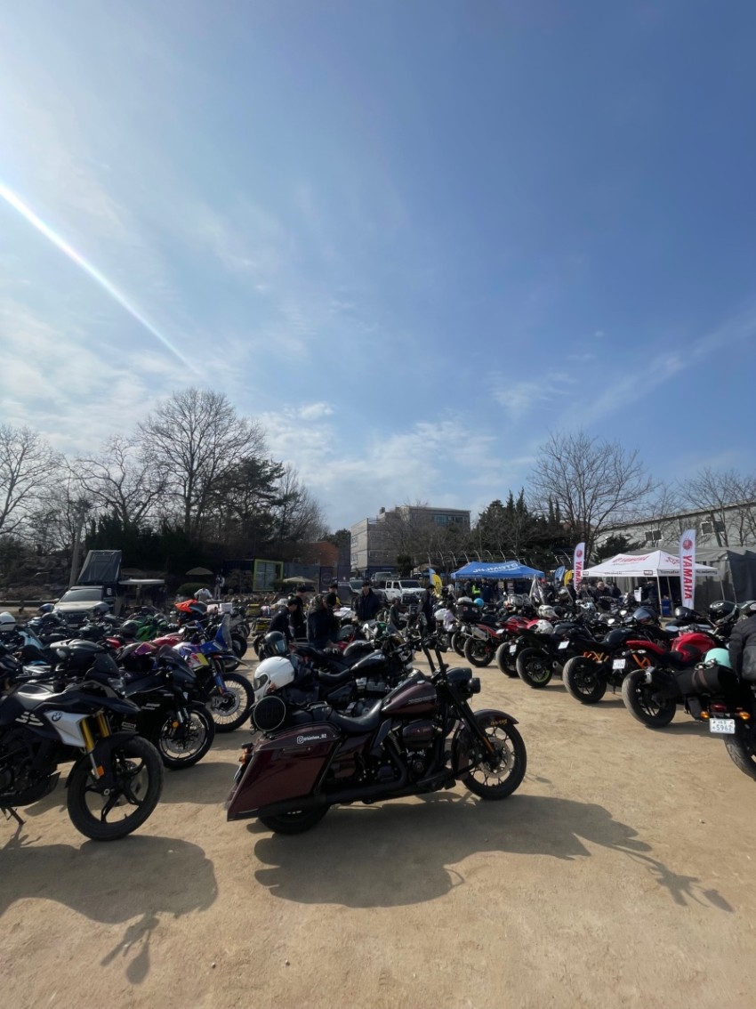 IMG_8582.jpeg