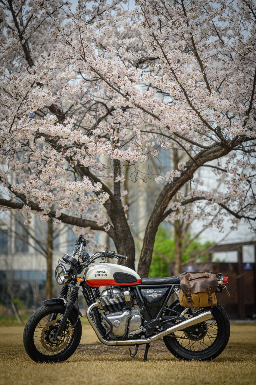 6c3158ddfa01e6eb35a88bba258a7c8f22361319qh2x.jpg