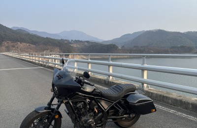 레블입니다