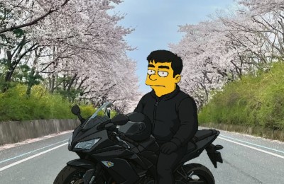 바린이의 벚꽃대전 몰바 성공!