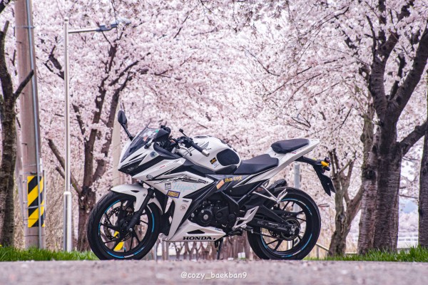 ??? : 음? 150cc? 그러면 2소 따야해? (cbr150r)