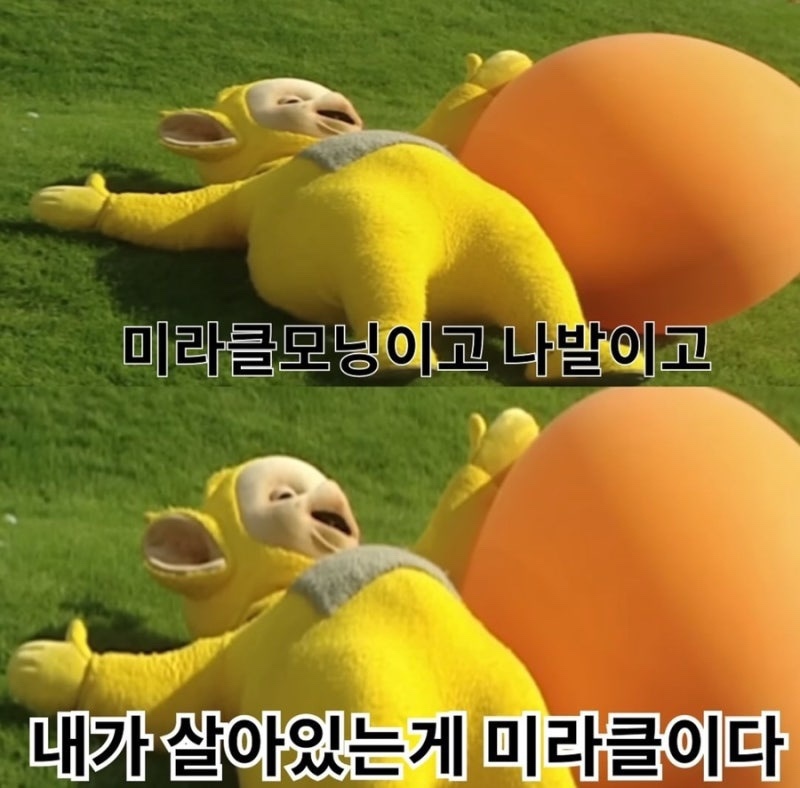bc6f0924be9ee9dc4cf449f02cdde054d0ce8c9fghxe.jpg
