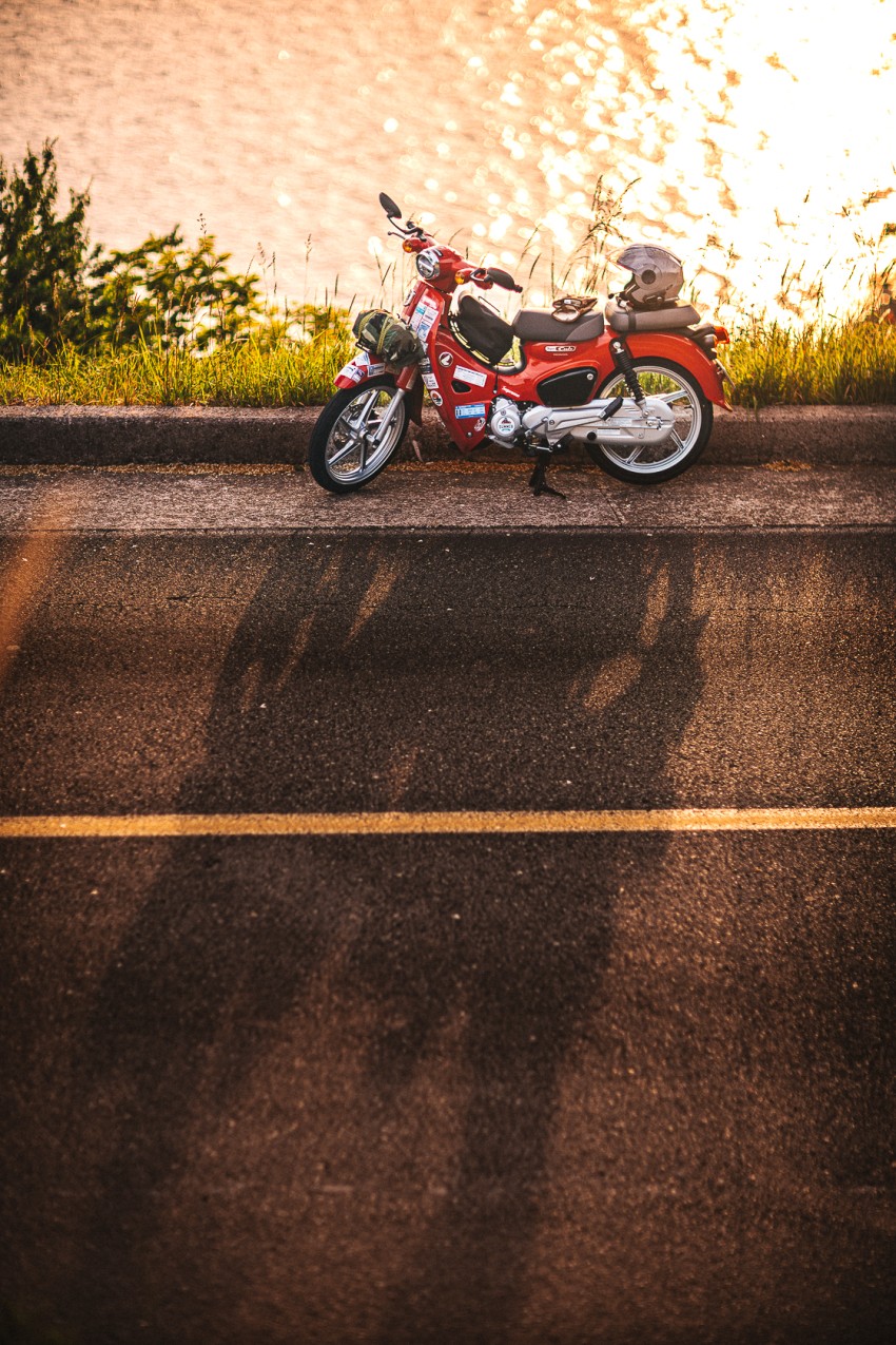 6ae860d18b0e01b6ff5cbb107230ffbde4cc583futql.jpg