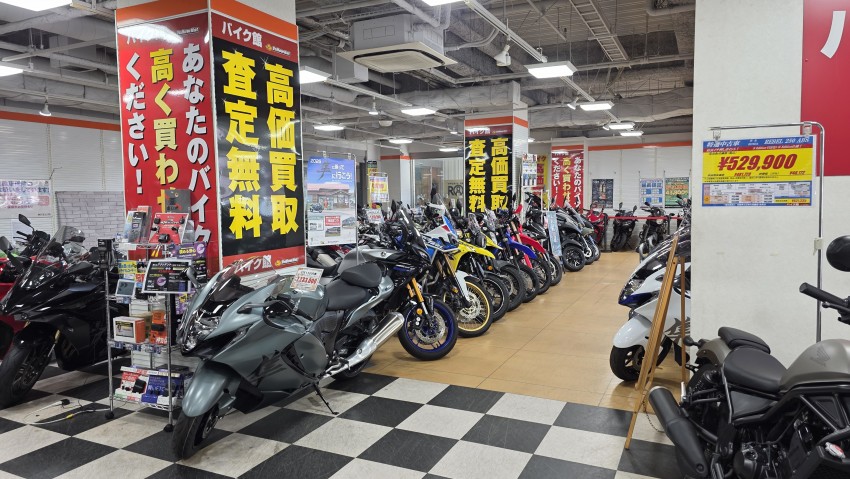 42b52ae28ef65644bbd11fdb412e69754e01d9557598.jpg