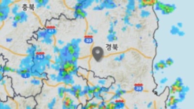 비소식이 또 없어졌는데 믿지를 못하겠어요