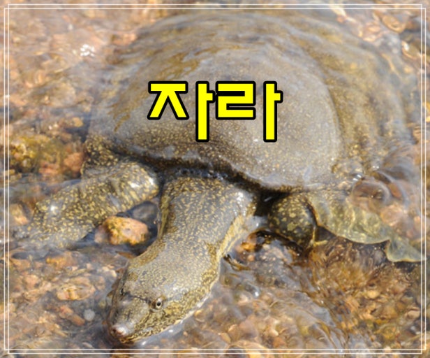 0d80e622d54bb286db0eea1d6c97327ba9e3ae16ukc0.jpg