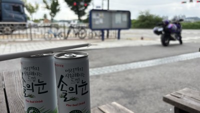 여름.. 입추가 지나고 끝난 것 같지 않나요?