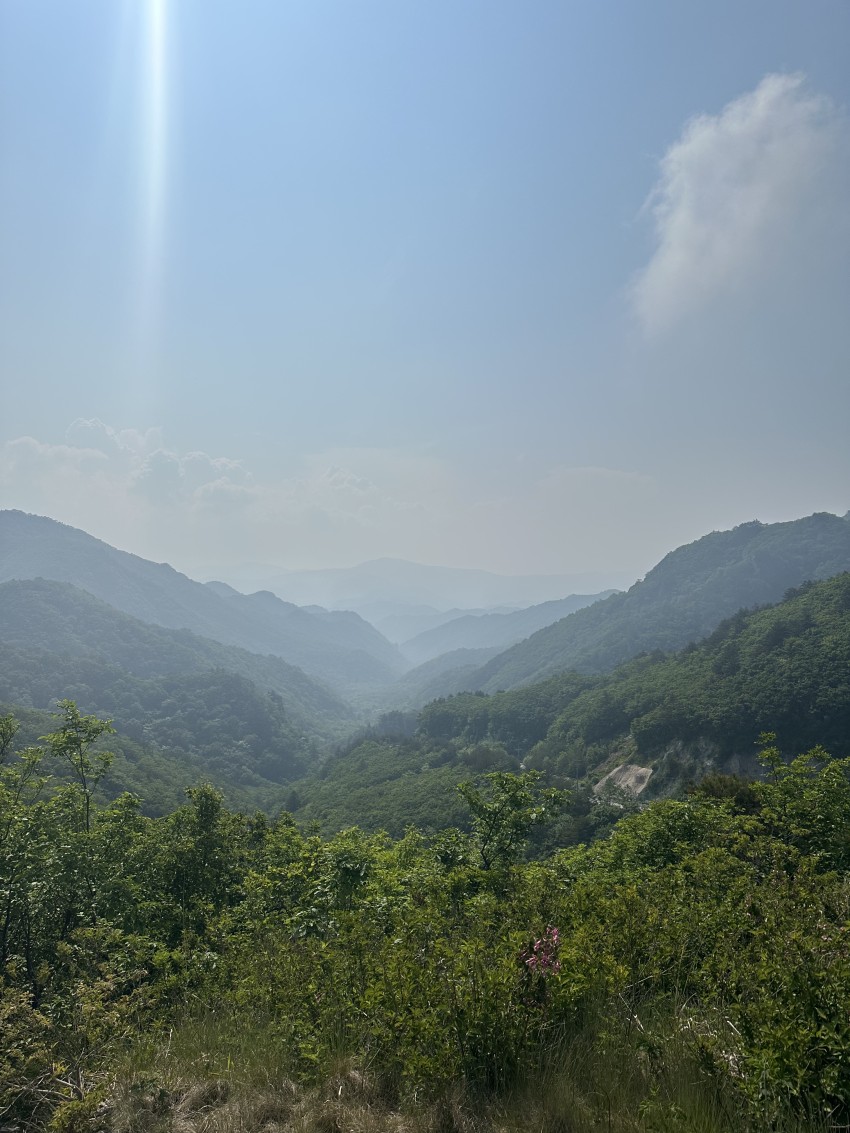 a75aeac339959e714556a336569d80692bd1f335jwm2.jpg