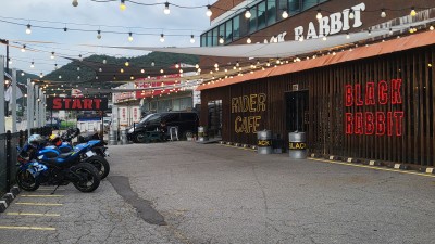 실시간 생존신고