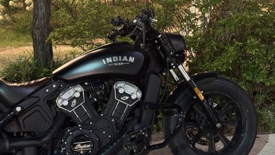 생존신고는 소고기와