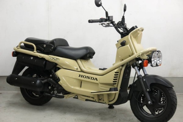 얘는 왜이렇게 비싸요? (PS250)