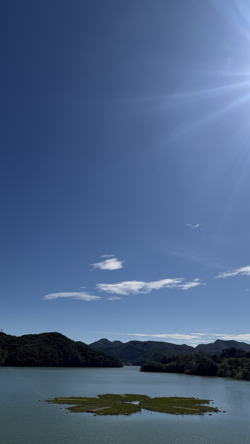 d0793482bf2e4013076c8c71e7eea17f2756f9c1a5m2.jpg