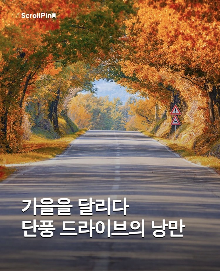 1f13a737590513094a2d86b080778f135cfb0e74l5id.jpg