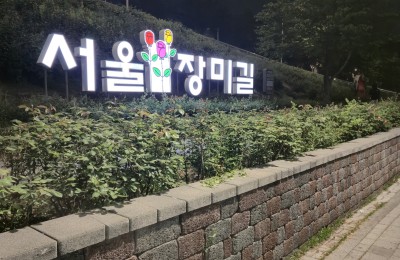 서울장미길 왔습니다