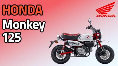 Monkey125