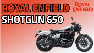 Shotgun 650