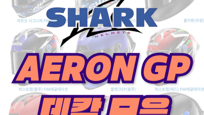 <25년 1월 기준> SHARK Aeron GP 데칼 모음