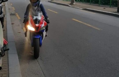 내뽈뽈이