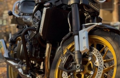 겨울의 시작에서