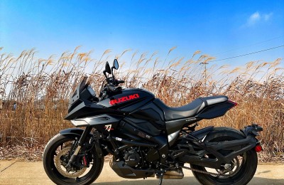 겨울 오기 전 갈대밭에서