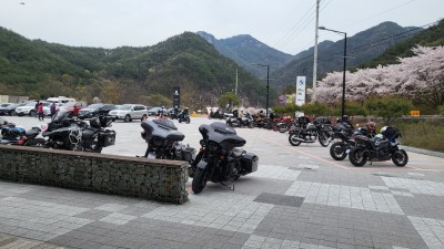 한창 시즌이던 합천 모토라드